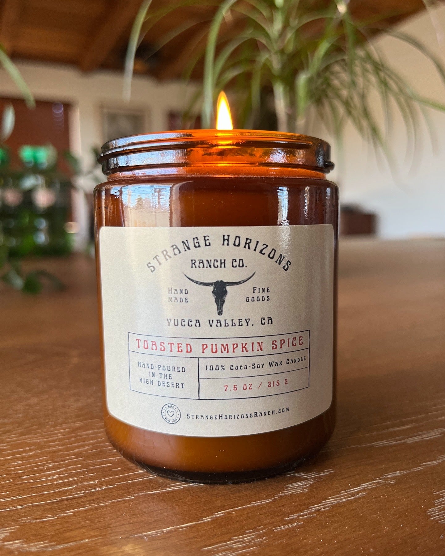 Harvest Moon - Hand-Poured Coconut Soy Wax Candle