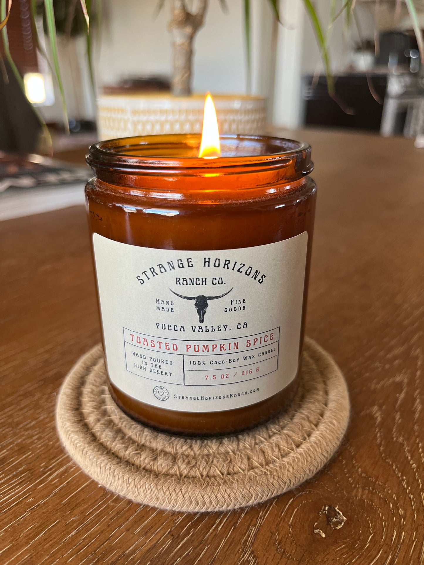 Toasted Pumpkin Spice - Hand-Poured Coconut Soy Wax Candle