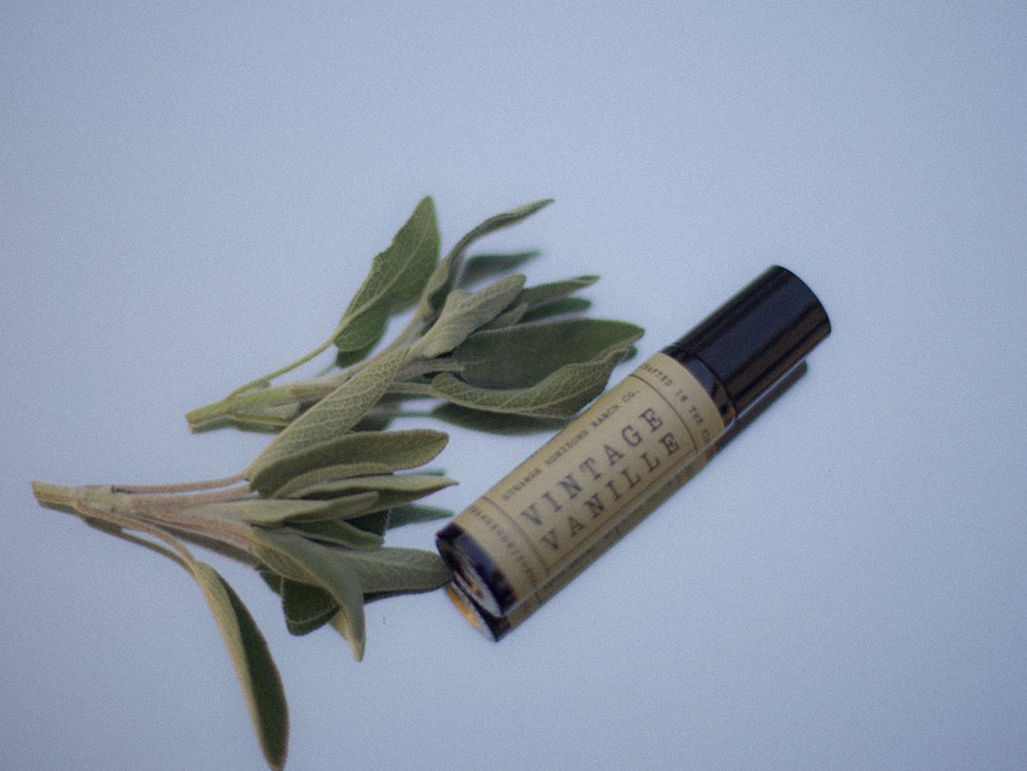 Perfume Oil Travel Rollers