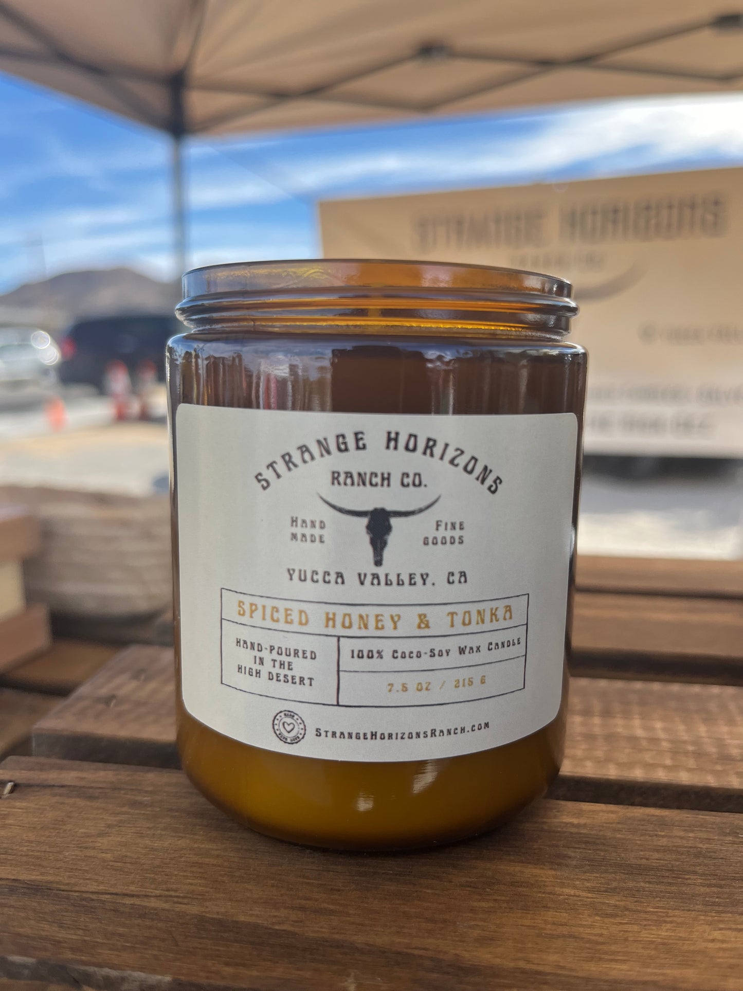 Spiced Honey & Tonka - Hand-Poured Coconut Soy Wax Candle